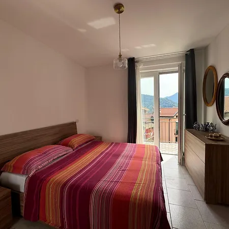 - The V Collection *